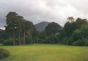 irl1999 muckross house 2